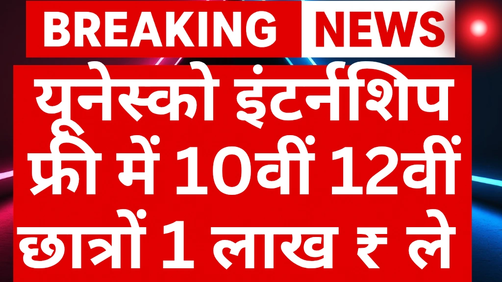 UNESCO Internship 2025 student working on global internship project